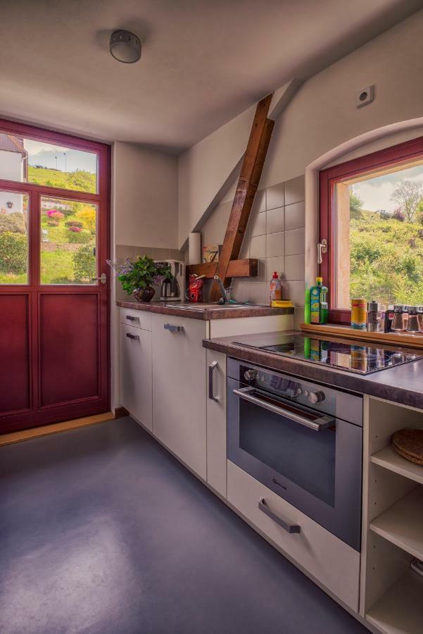 Villa Richter Rathen Esterno foto